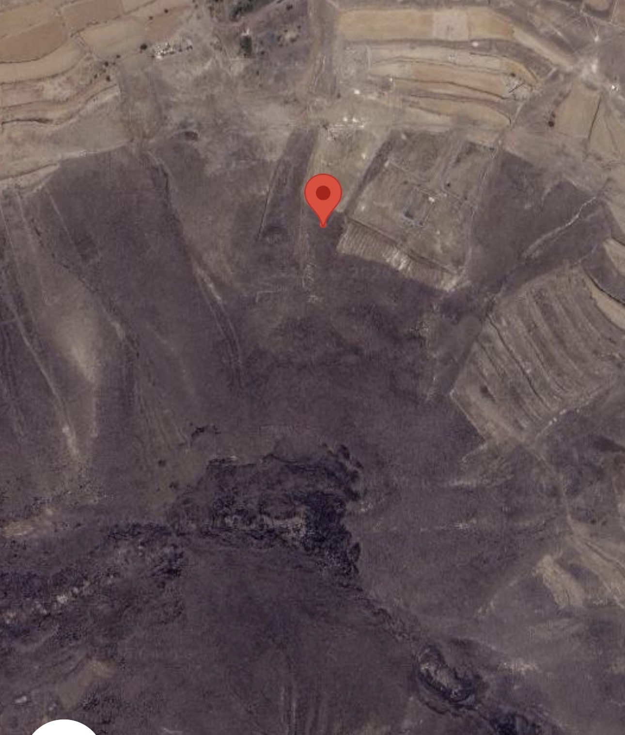 ارتل