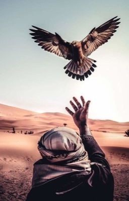 ارض 100 معاد في الحديده في الخط الدولي